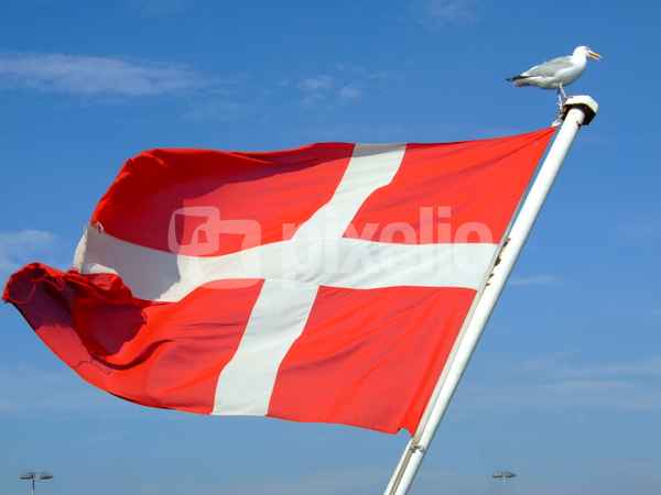 Fahne im Wind