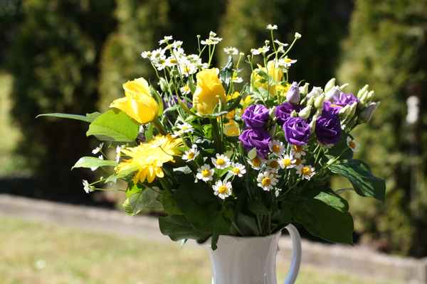 Ein schöner Blumenstrauß