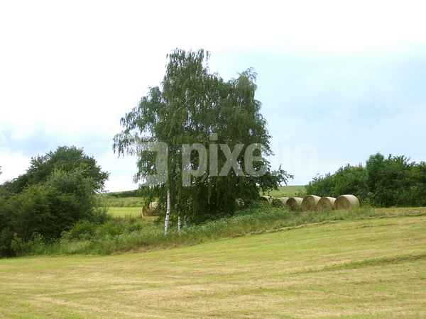 Landschaftsausschnitt