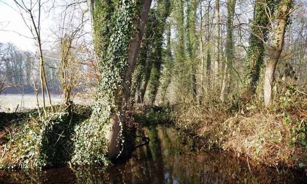 am bach