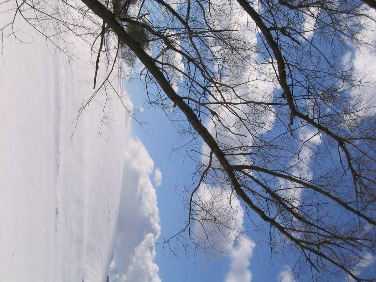 Schneelandschaft