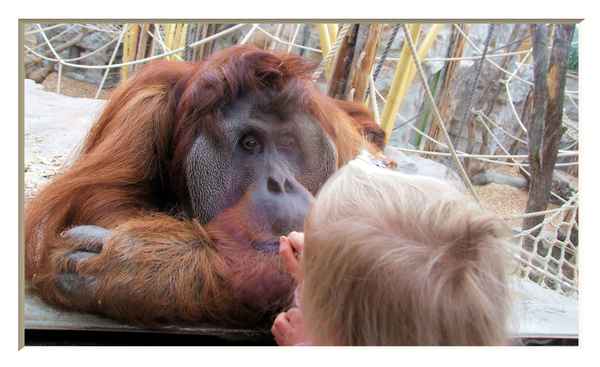 Zoobesuch