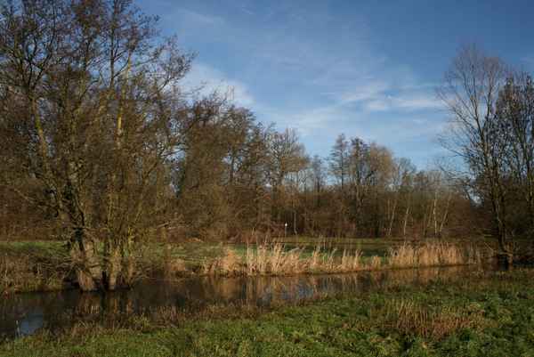 ein tag im januar 2014