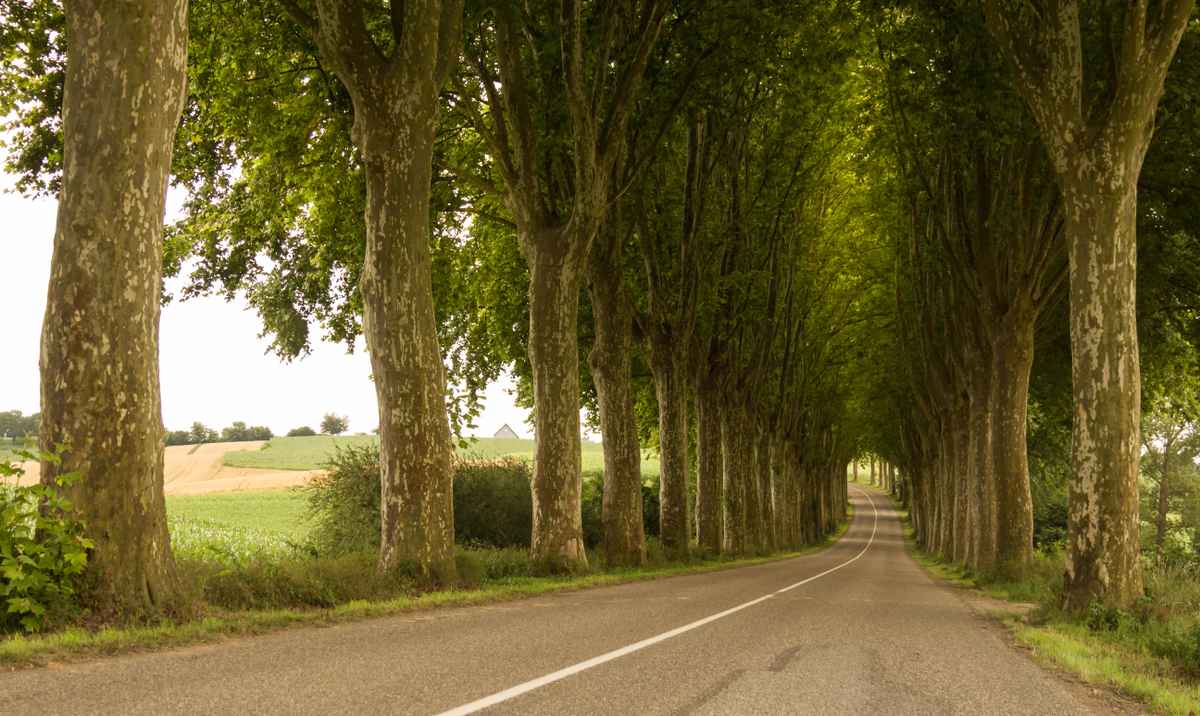 einsame Landstrasse