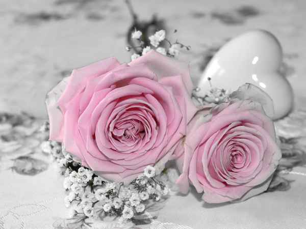 AUS LIEBE ............. IV