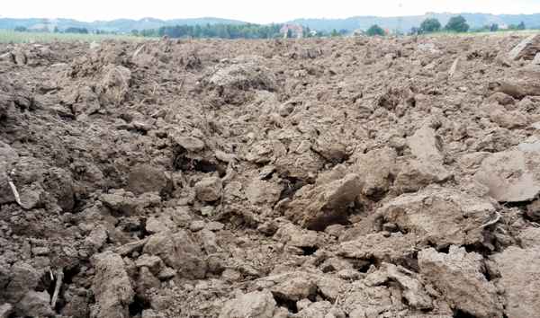 Nach der Ernte - gepflügter Boden