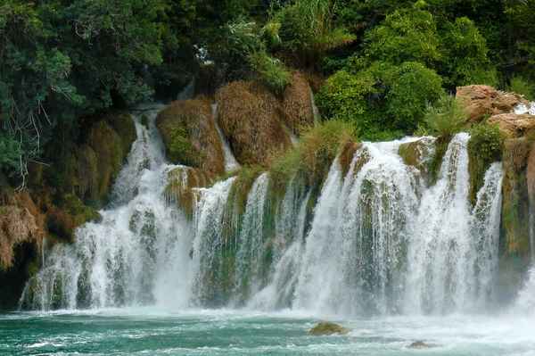 Wasser im Überfluss
