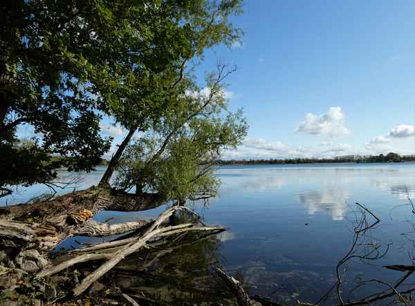 Barleber See