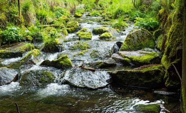 Quellfrischer Bachlauf