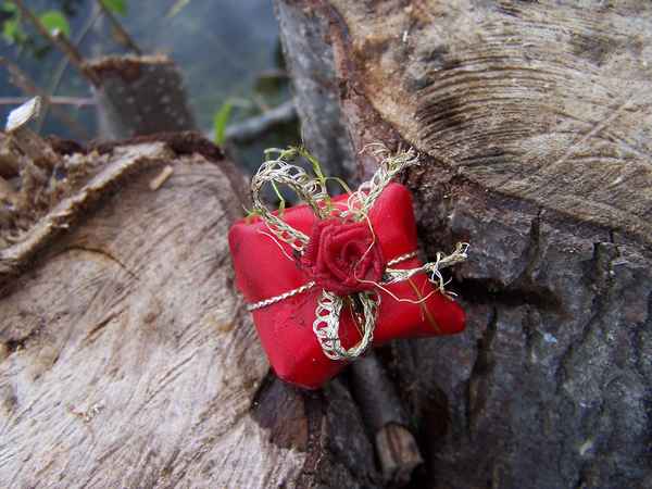 Geschenk der Natur ...