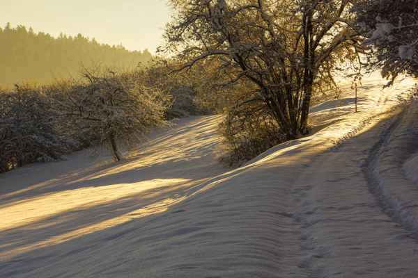 Morgenstrahlen im Schnee