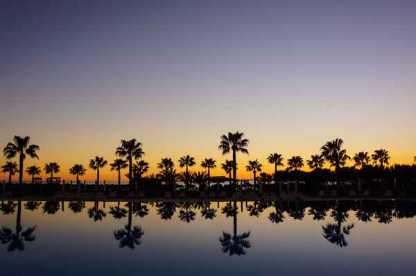 Sundown, Pool und Palmen 5