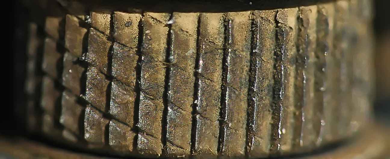  Was ist das? GELÖST von nordseeinfo.de