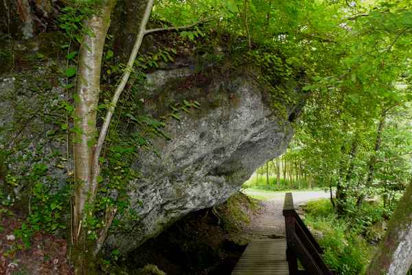 In den Wäldern der Vulkaneifel #5