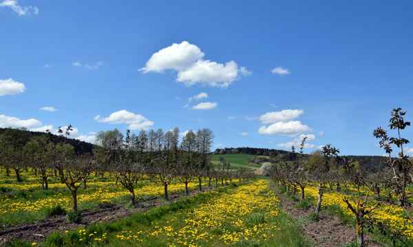 Natur pur 02