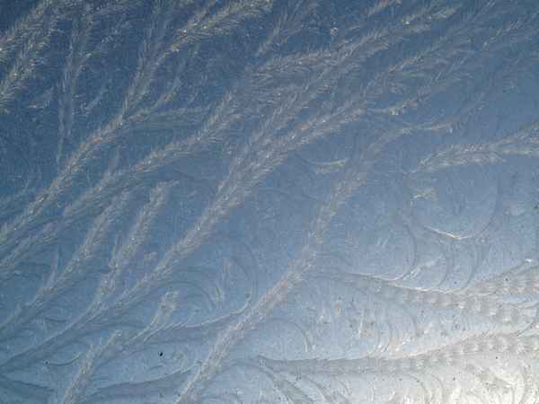 Eisblumen hinter Fensterscheibe 1
