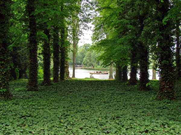 Wörlitzer Park