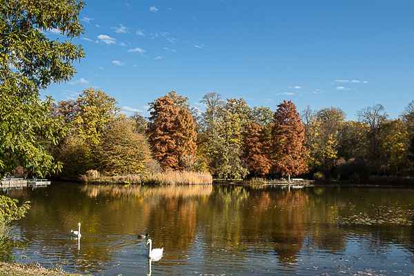 Herbst im Park