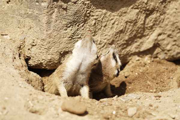 Fällt uns jetzt der Himmel auf den Kopf?
