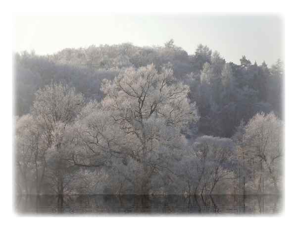 Winterbild ... frohe Weihnachten