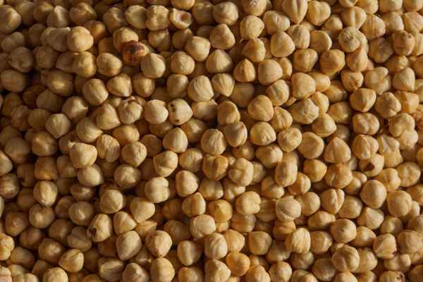 Haselnüsse ohne Schale, geröstet