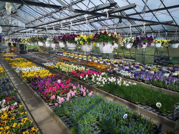 Endlich ist alles wieder bunt