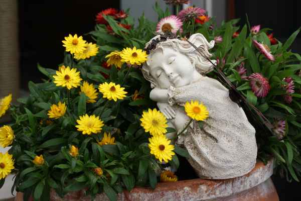 Kleine Blumenfee