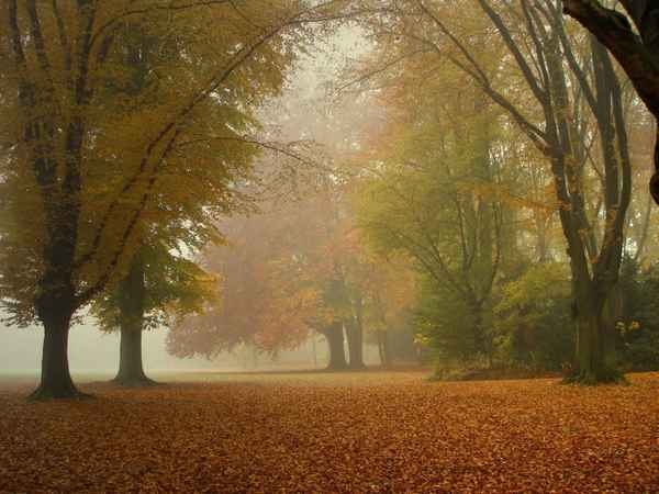 Novemberstimmung