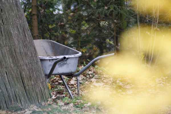 Herbstarbeit ist fertig!