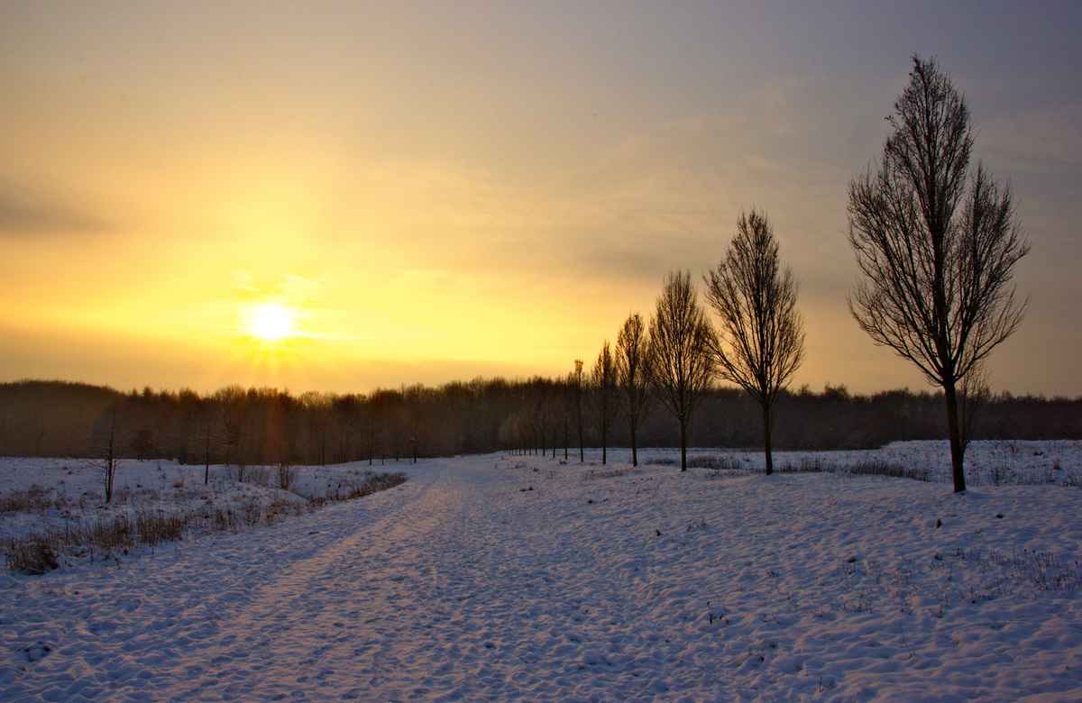 Wintermorgen Sonnenaufgang