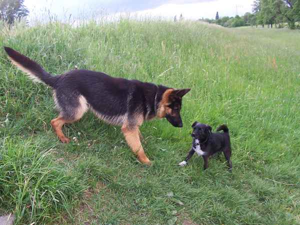 Spielen ist freigegeben...