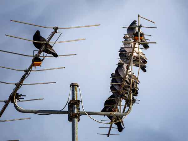 Verstoß gegen die Coronaregeln