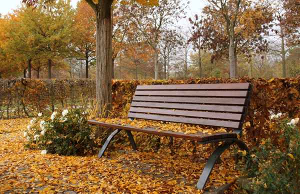 still und leise,dass Laub im Herbstwind fällt