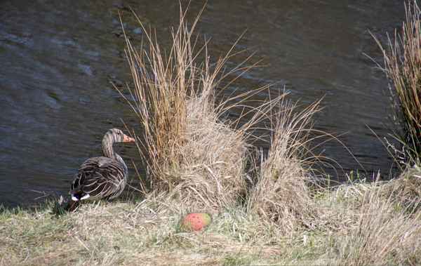 Na und ...  1. APRIL ;o)