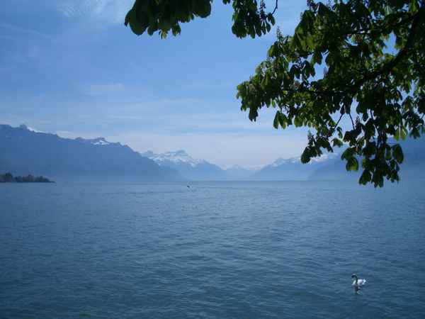 Genfersee mit Blick auf die Walliser Alpen