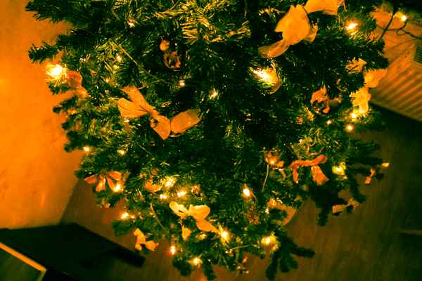 Weihnachtsbaum von oben!