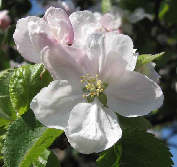 Wann ist es wieder soweit...?