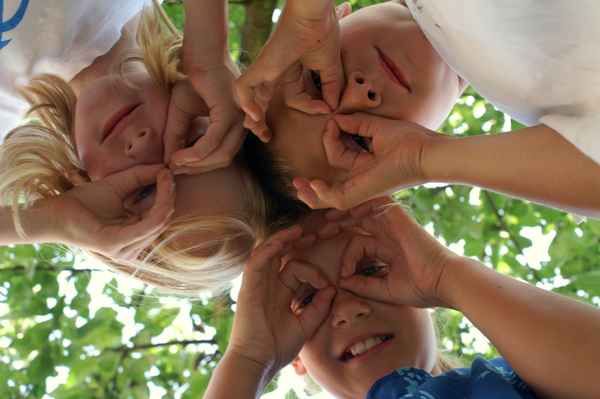 Die Drei - da guck'ste