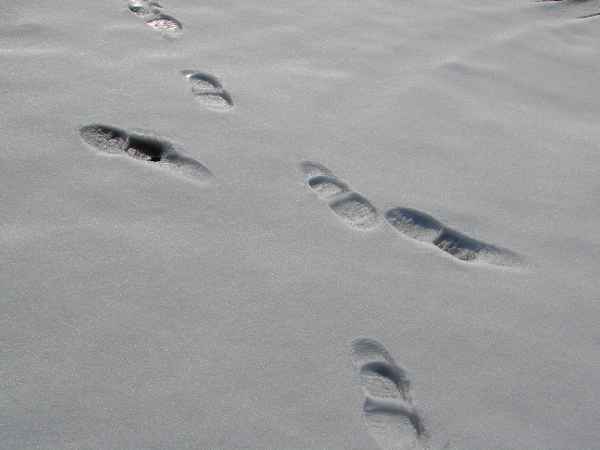 Spuren im Schnee