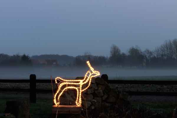 * ws * warten auf schlitten und weihnachtsmann