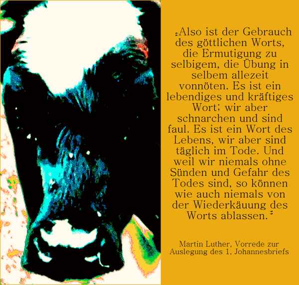 Wiederkäuer