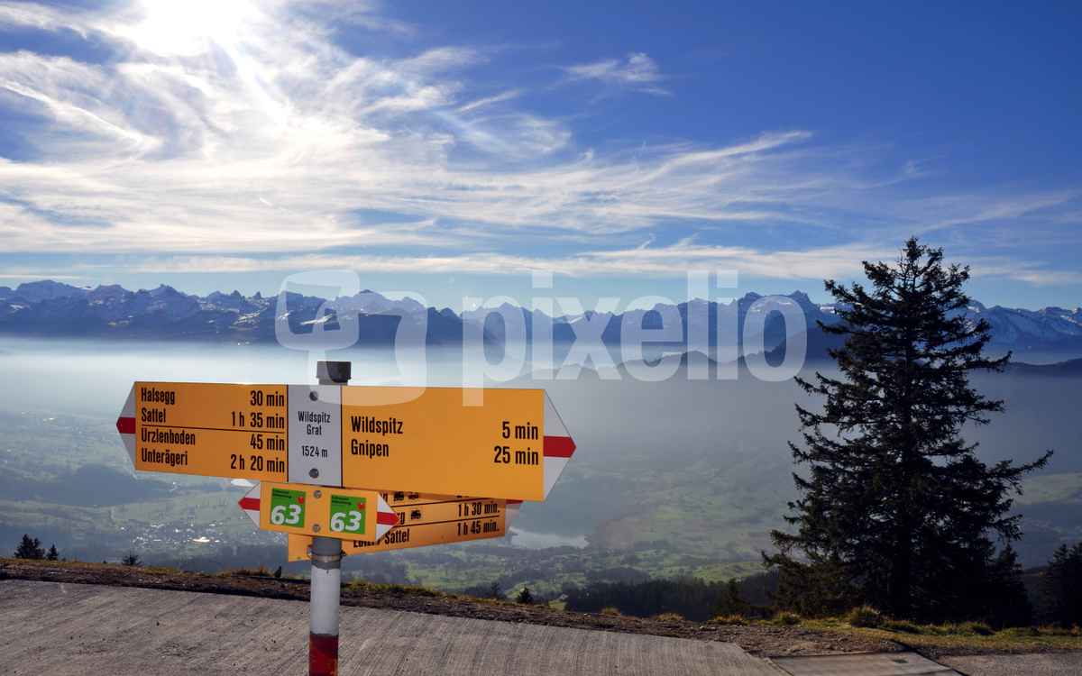 Auf dem richtigen Weg
