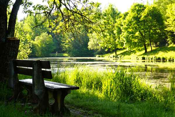 Waldsee mit Ruhebank