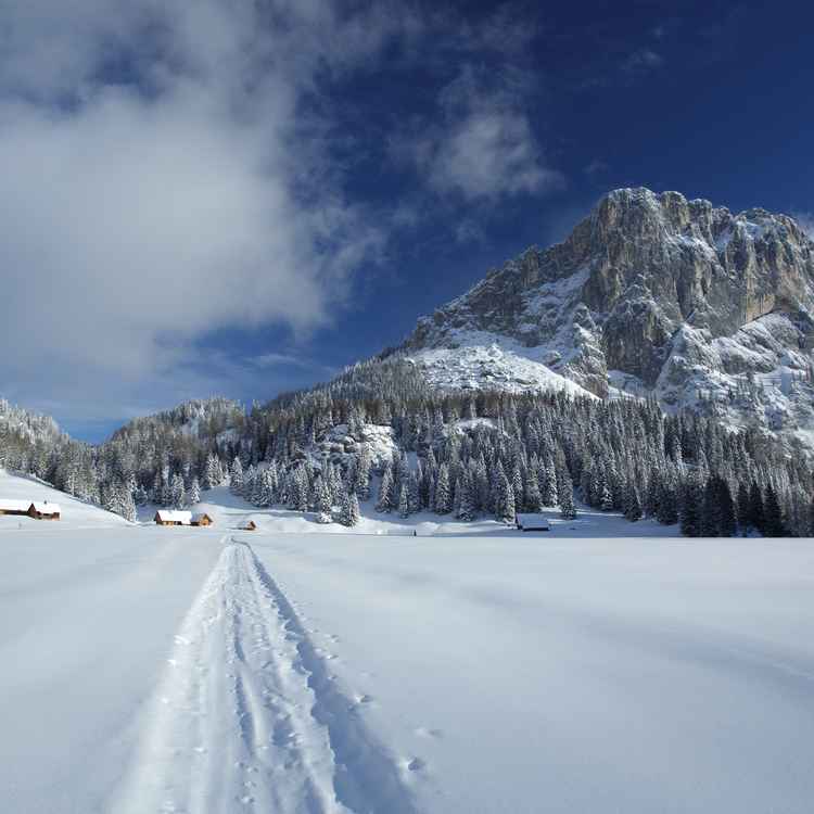 Der Weg ist das Ziel