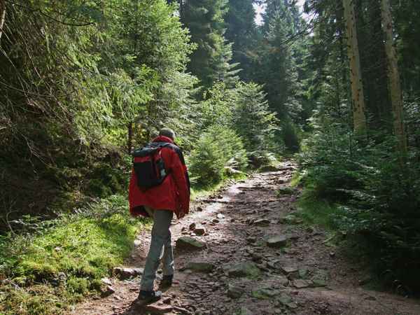 Wanderer auf dem Westweg_1