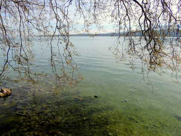 Frühling am Genfersee 11
