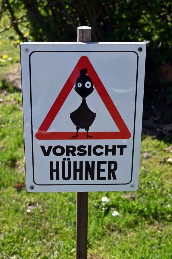 Vorsicht Hühner