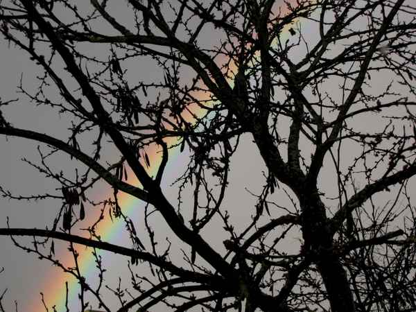 Regenbogen (2)
