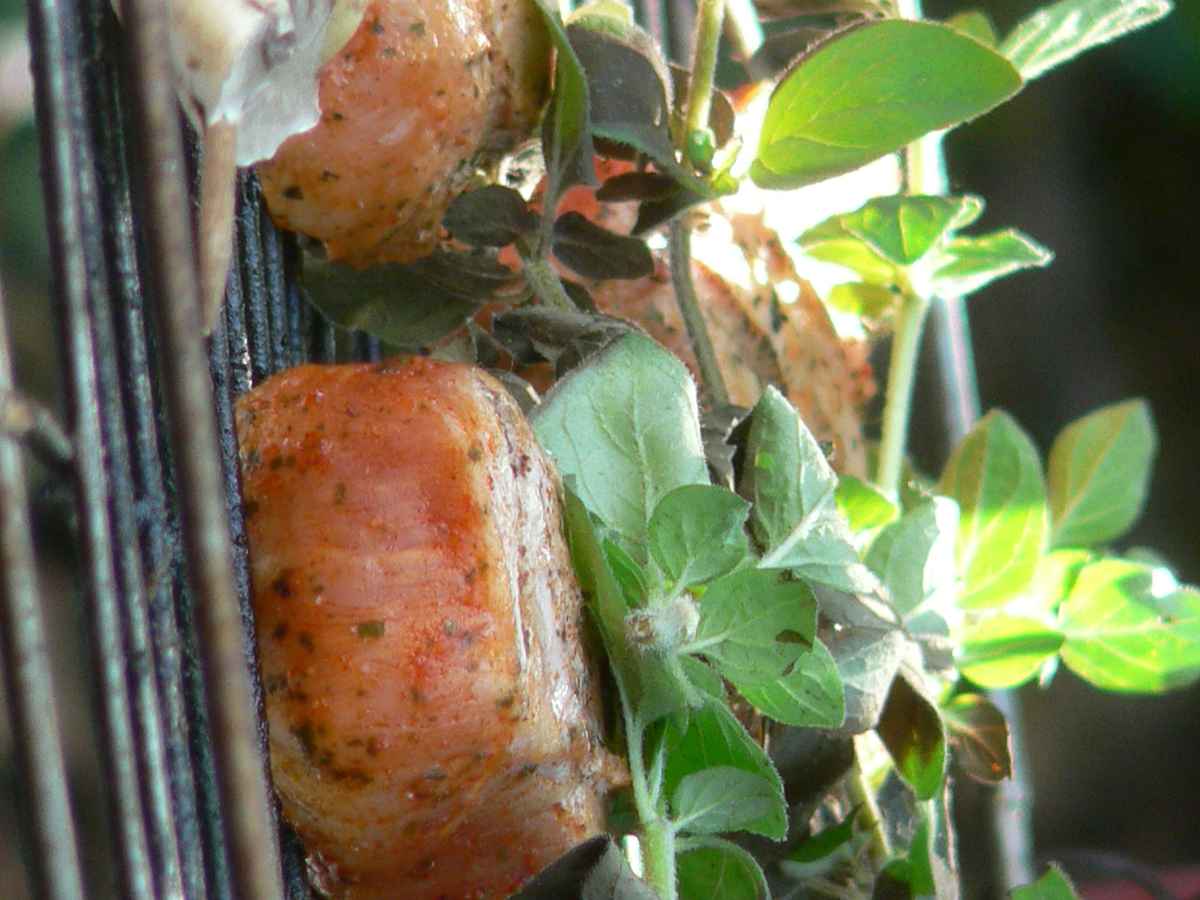 Grillfleisch