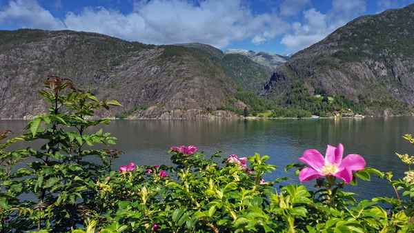 Stille am Fjord